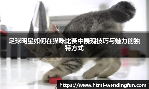 足球明星如何在猫咪比赛中展现技巧与魅力的独特方式